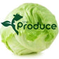 Iceberg Lettuce - fresh head
